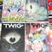 TWIG #1 2 3 4 (4 BOOK SET) 2022 IMAGE COMICS Peach Momoko Variant cover NM 1-4