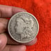 Lots of (6) Mixed Dates and Grades of Morgan Silver Dollar