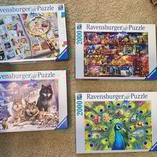Bundled 2000 piece Ravensburger puzzles (4)