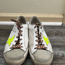 golden goose