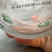 Anthropologie Shamrock Icon Handblown Juice Glass NEW WITH TAG