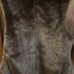 Faux fur reversible brown zip up Vest print navy Versace style size Large like