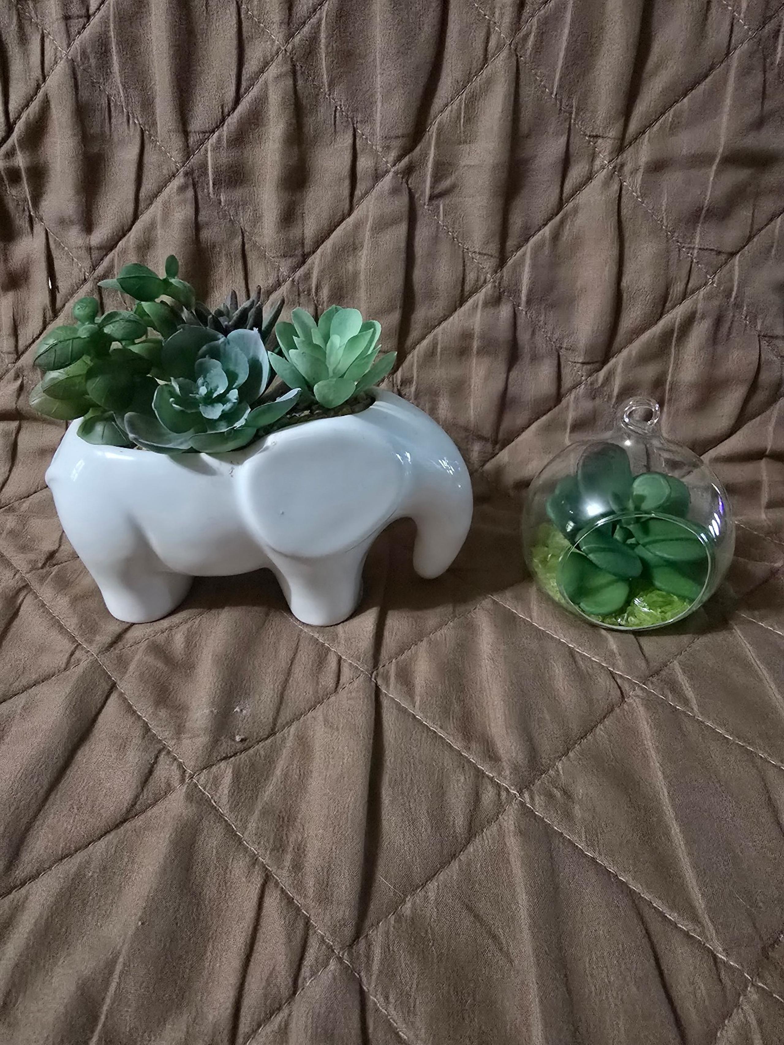 Mainstays White Elephant Planter with Green Succulents