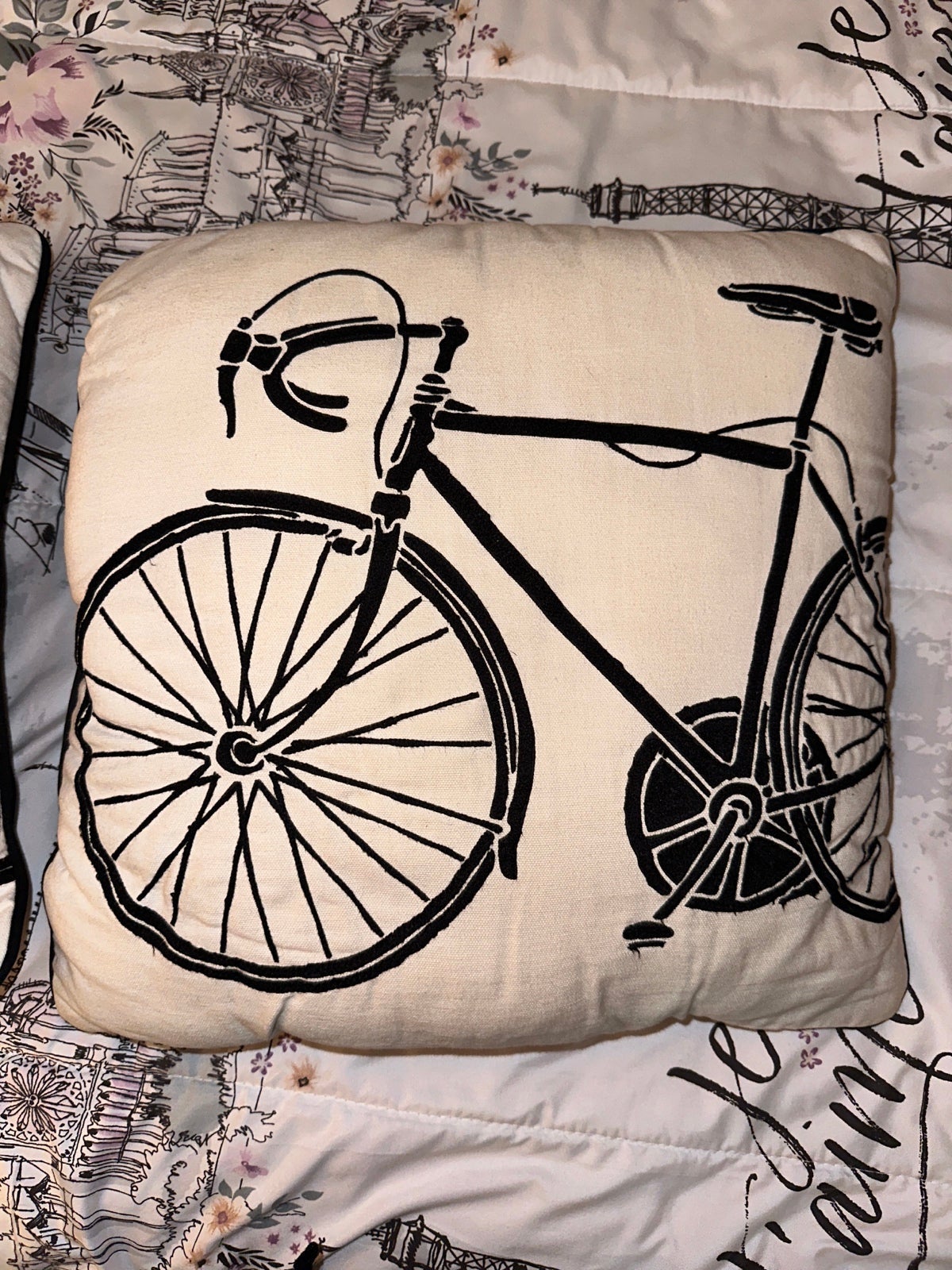 pillows (set of 2)
