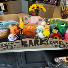 3 Different Bark Boxes
