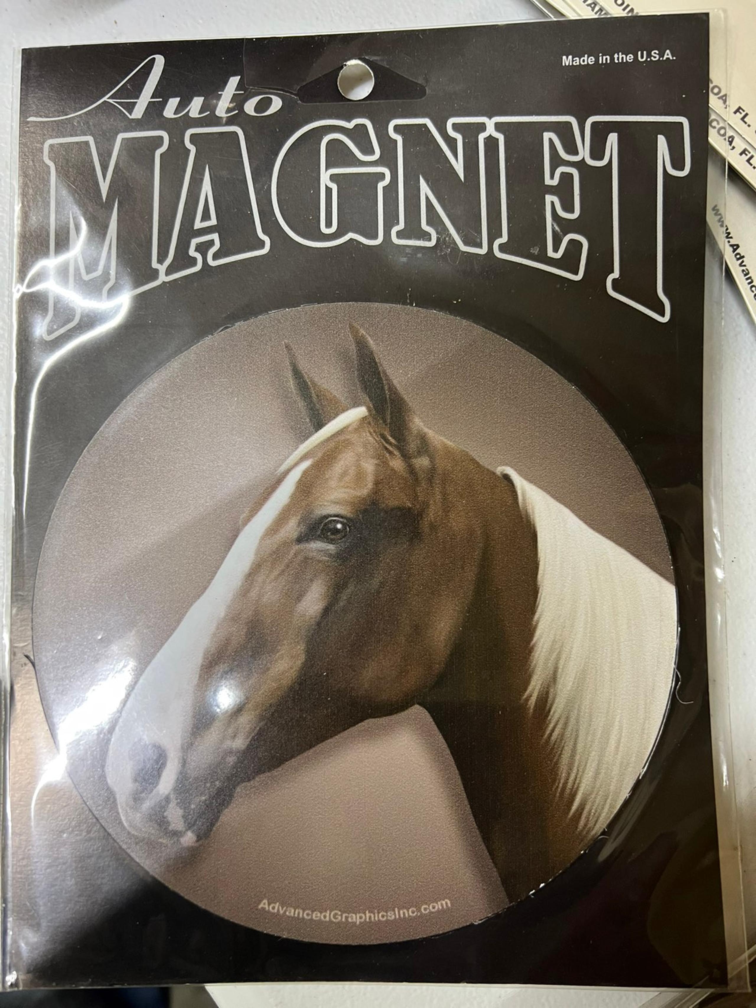 Magnet