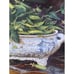 Large Vintage Keller Charles Tin Tray Snap Peas in Blue & White Bowl England