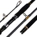Spinning Fishing Rod