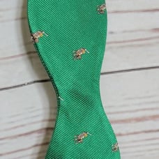 Ralph Lauren polo..New with tags