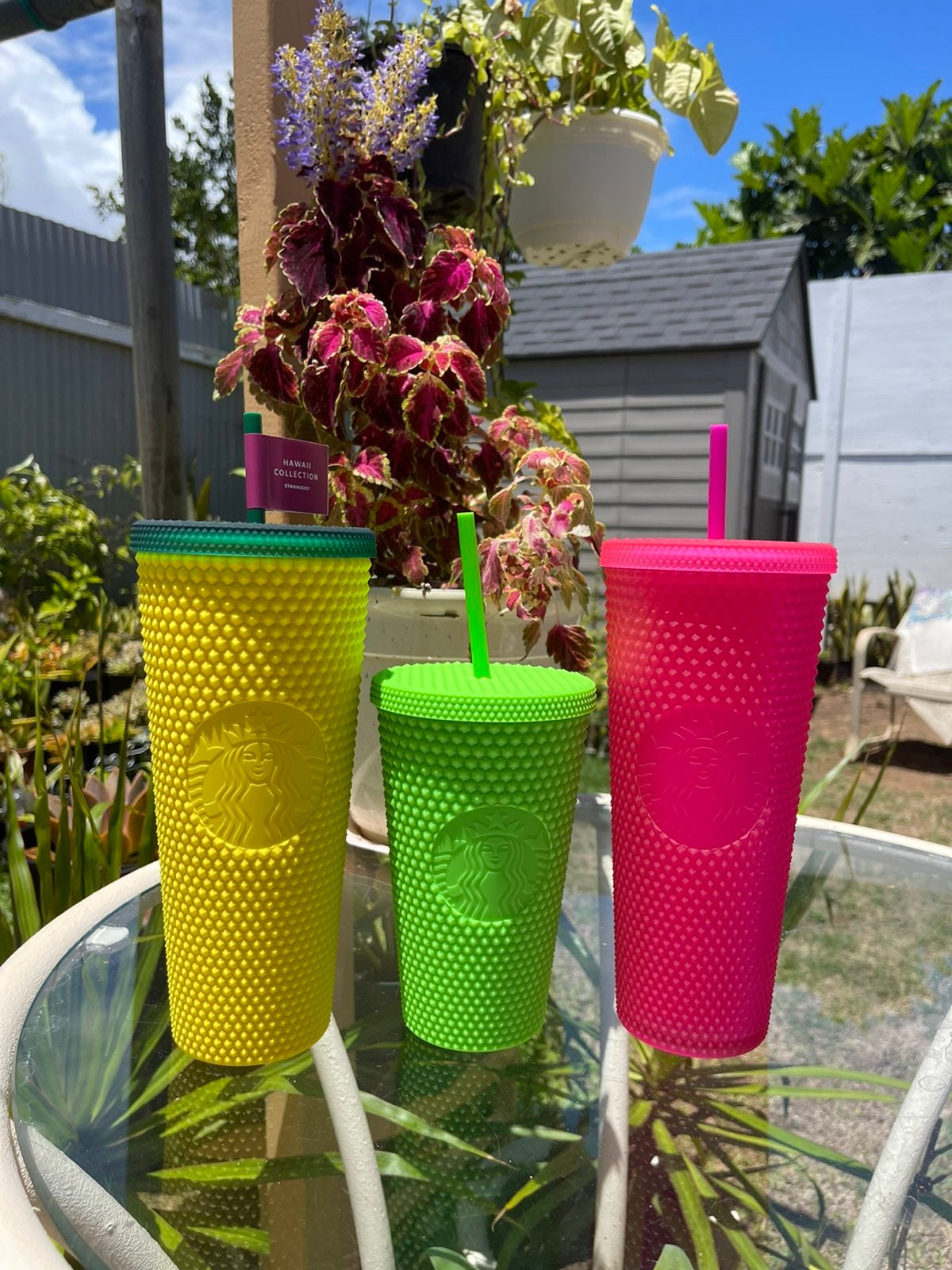 Starbucks Neon Pink and Green & Hawaii Pineapple Studded Tumblers