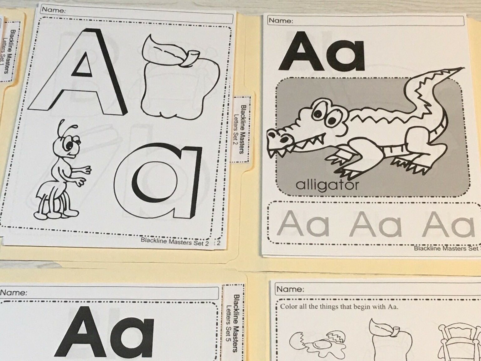 300 PRINTED WORKSHEETS Letters & Numbers