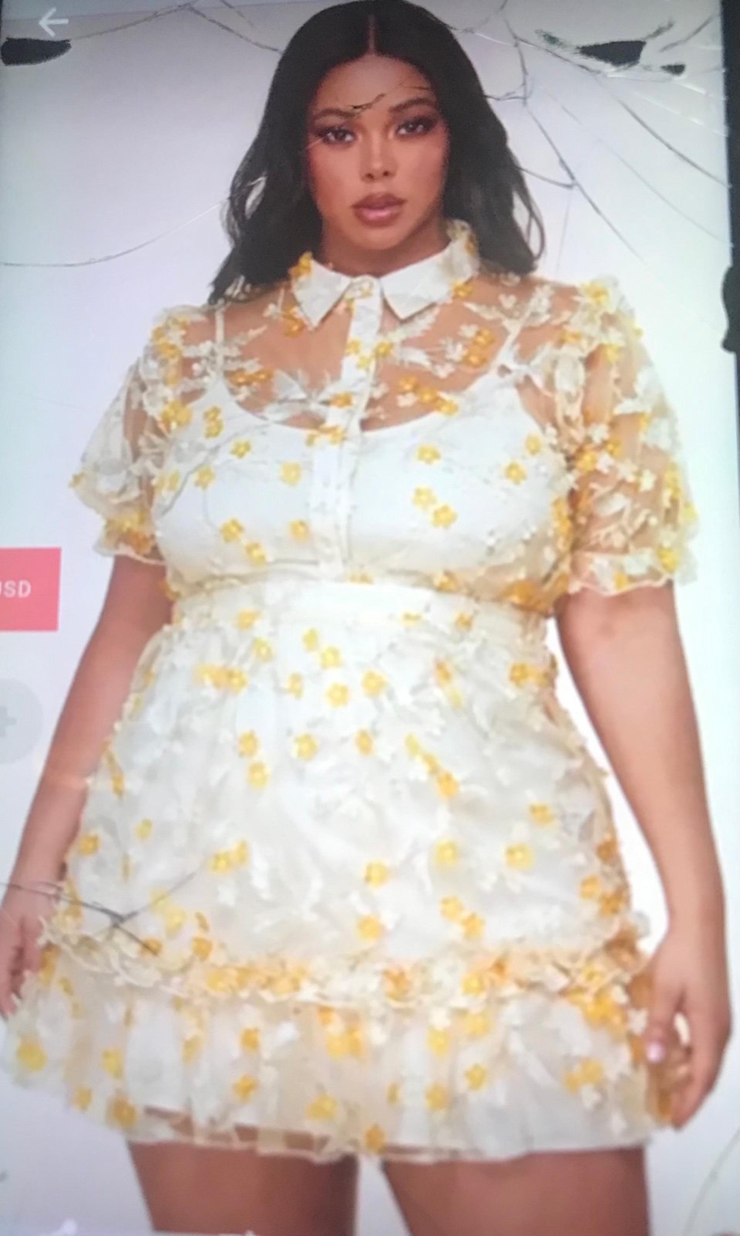 Plus size mesh floral dress 2x