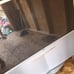 Sony floor model tv