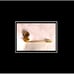 New Antique Very Pretty Blue Enamel Gold Stick Pin Locket Brooch