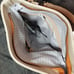Sherpani Crossbody Bag Beige Rebel Foldover Tote Purse American Ethos Collection