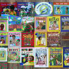 Lot of 28 Rigby New PM Story Books Readers Early Learning Homeschool