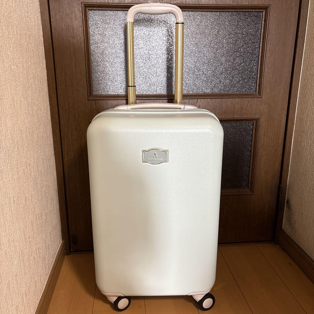 ACE (pronounced Ace ) Private Label Suitcase 35L