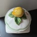 Villeroy & Boch French Garden Charm Lemon Citrus Limon Canister Air Tight Seal