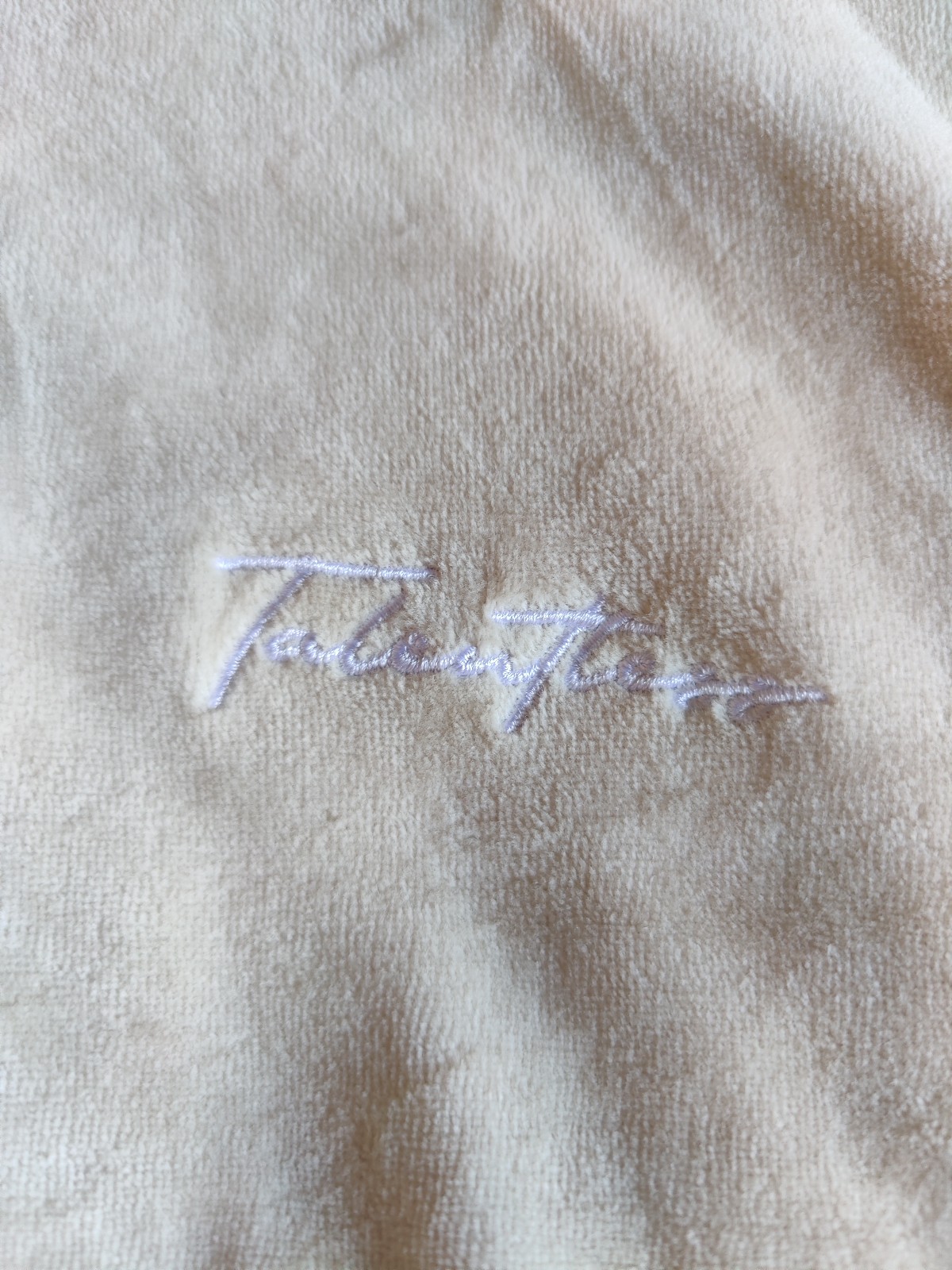 Talentless Terry Cloth Crop Hoodie