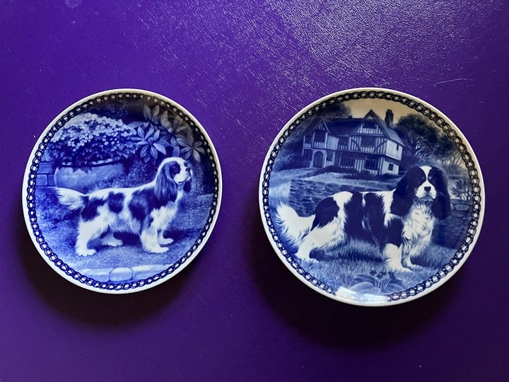 Vintage Set of 2 Cavalier King Charles Spaniel Porcelain Dog Plates