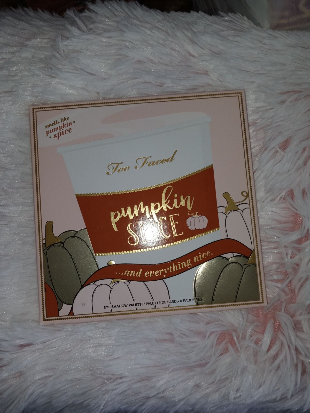 Too Faced Pumpkin Spice and Everything n