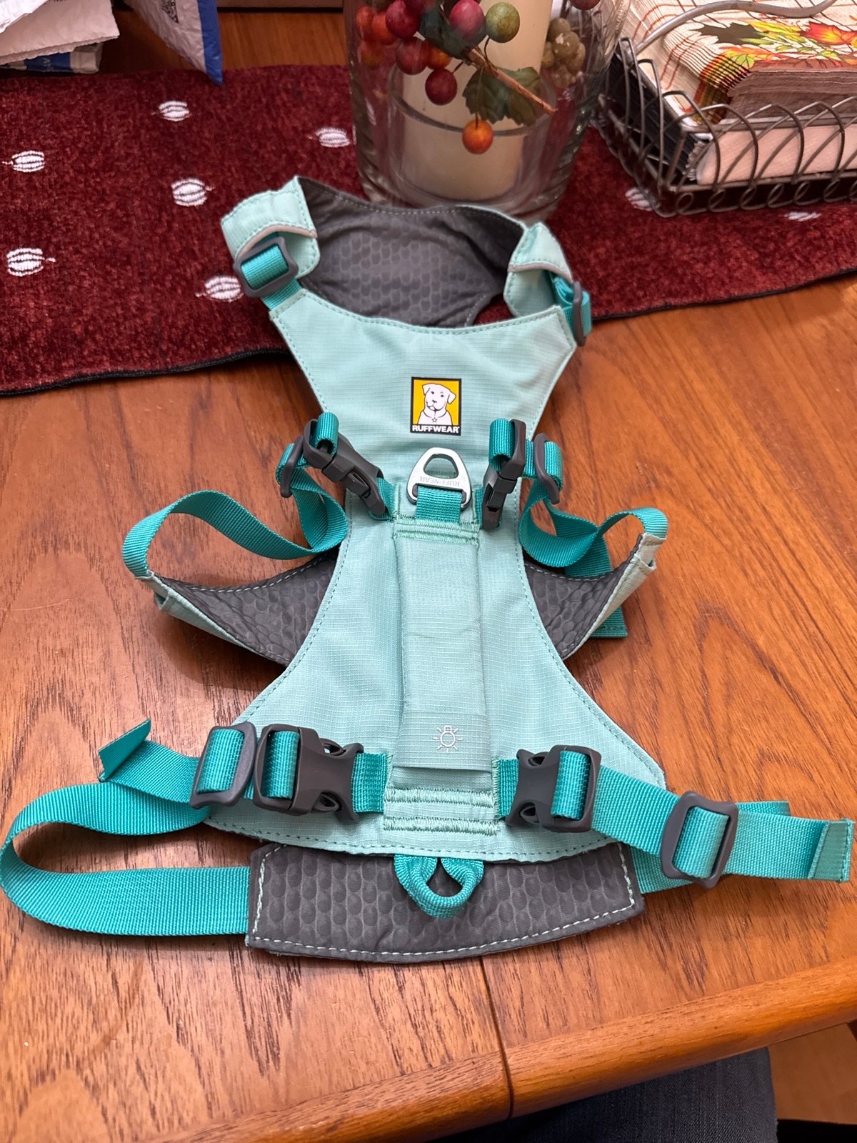 Ruffwear harness mint green  for small dog