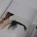 Sylvie Guillem Photobook: Invitation: Sylvie Guillem