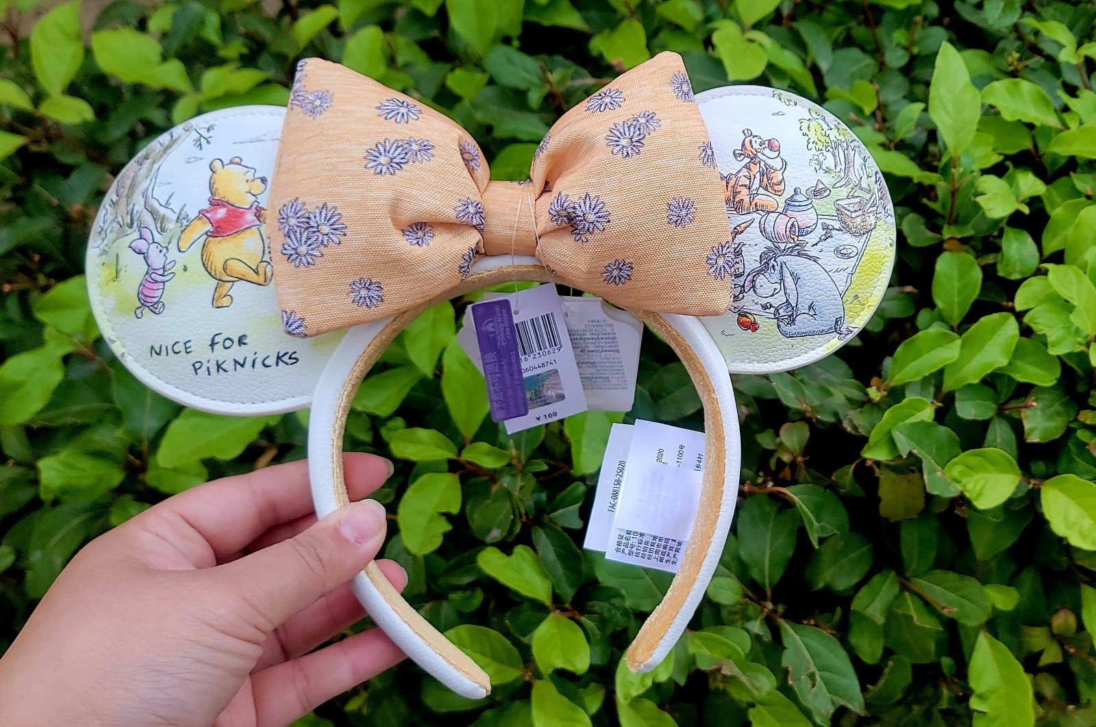 Winnie the Pooh and friends Disney Ears