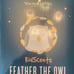 Young Living Feather the Owl Diffuser