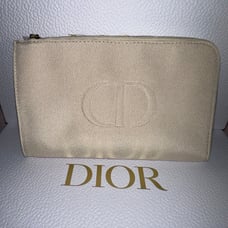 Dior Canvas Clutch Pouch