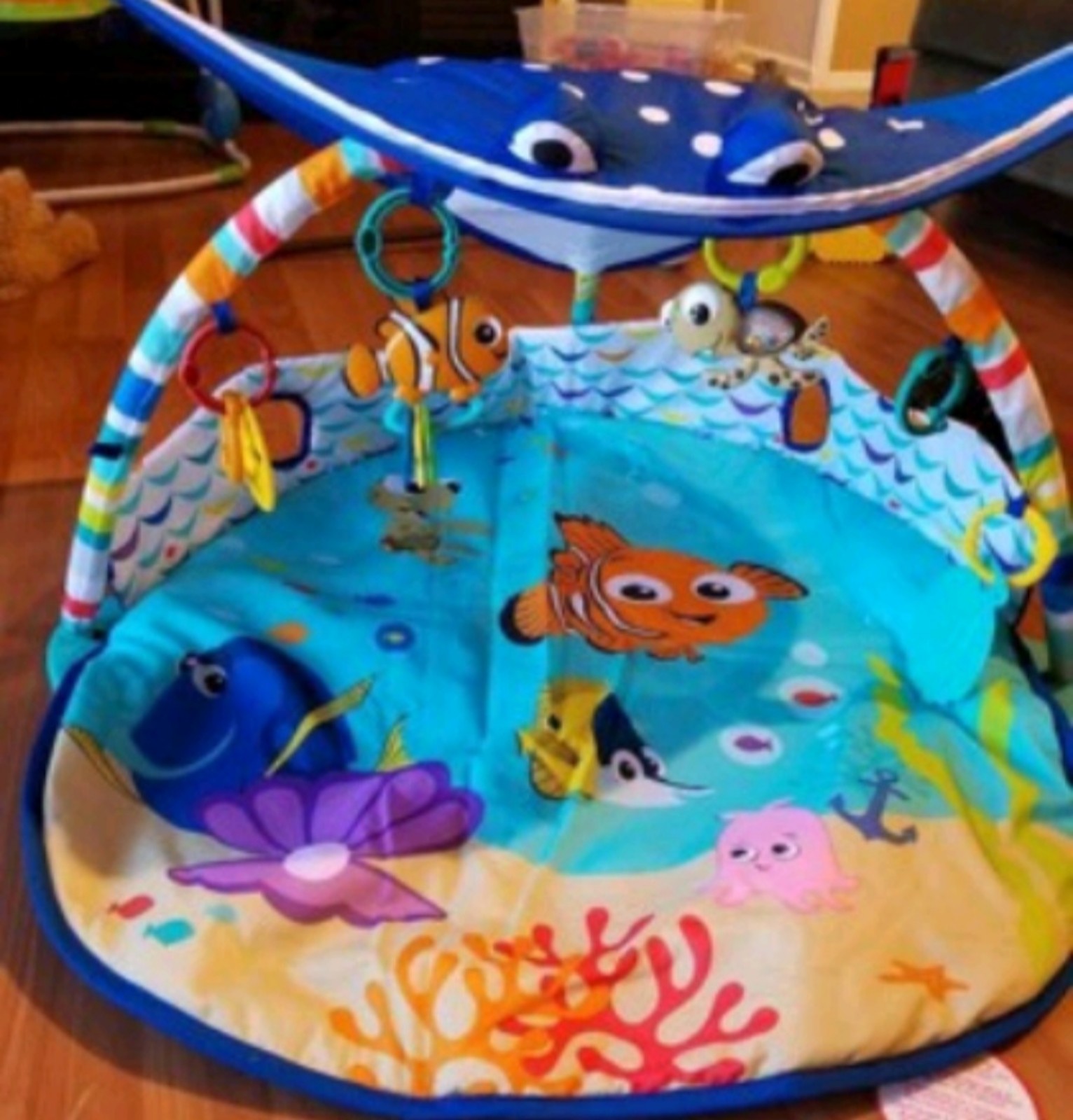 Finding Nemo tummy