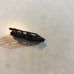 Vintage Ruhpolding Miniature Medal