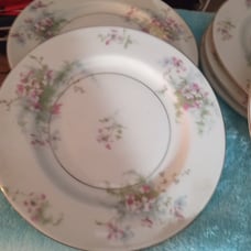 Vintage Haviland China. Apple Blossom pattern