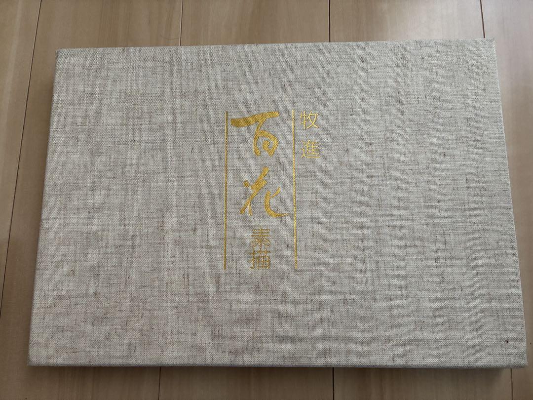 Hundred Flowers Sketch by Susumu Maki