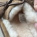 NEW Uggs Slippers Authentic