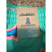 Chubbies The Apex Swimmers 7 Teal Sharks Size Large Swim Trunks New with tags
