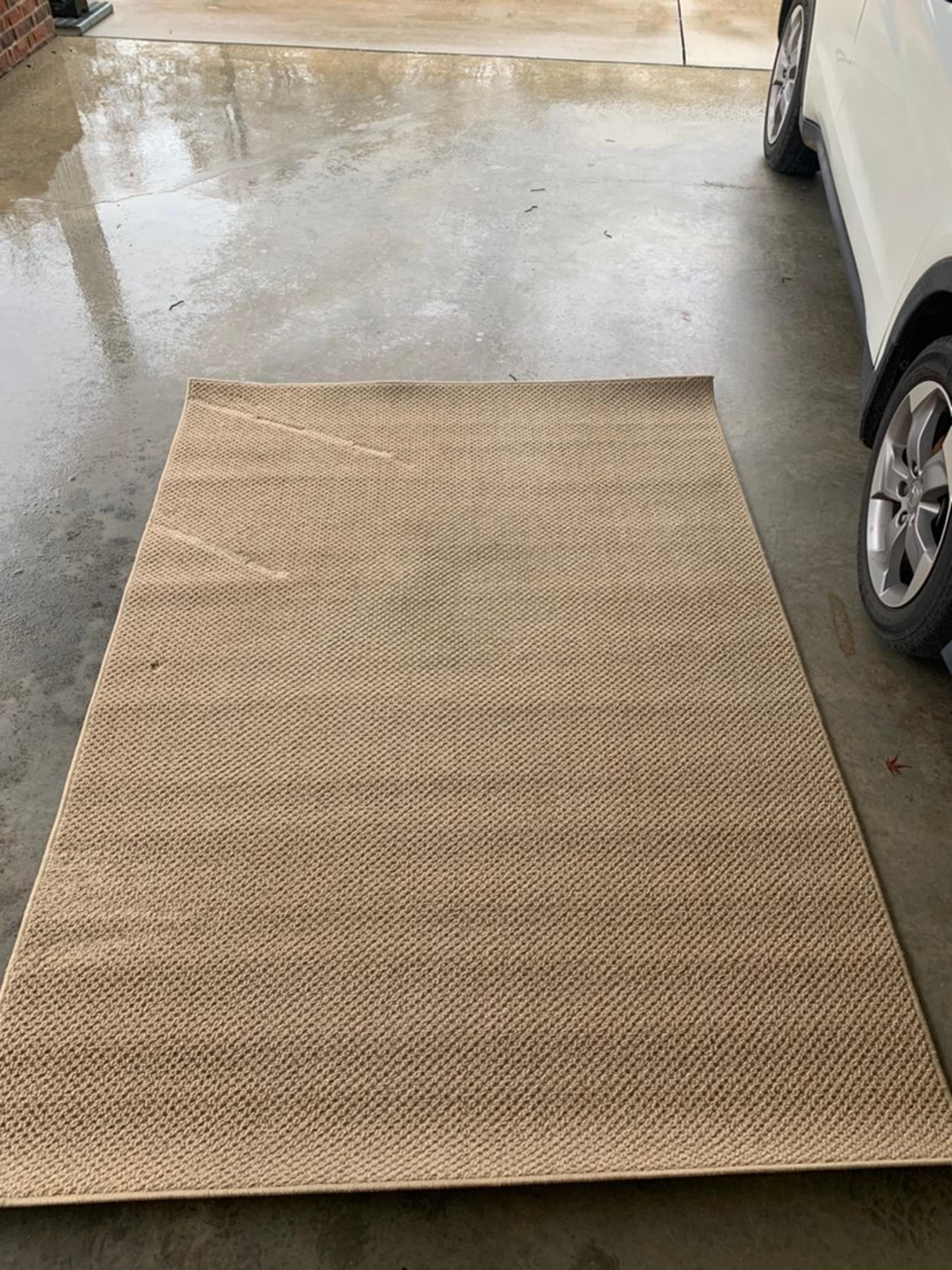 area rug
