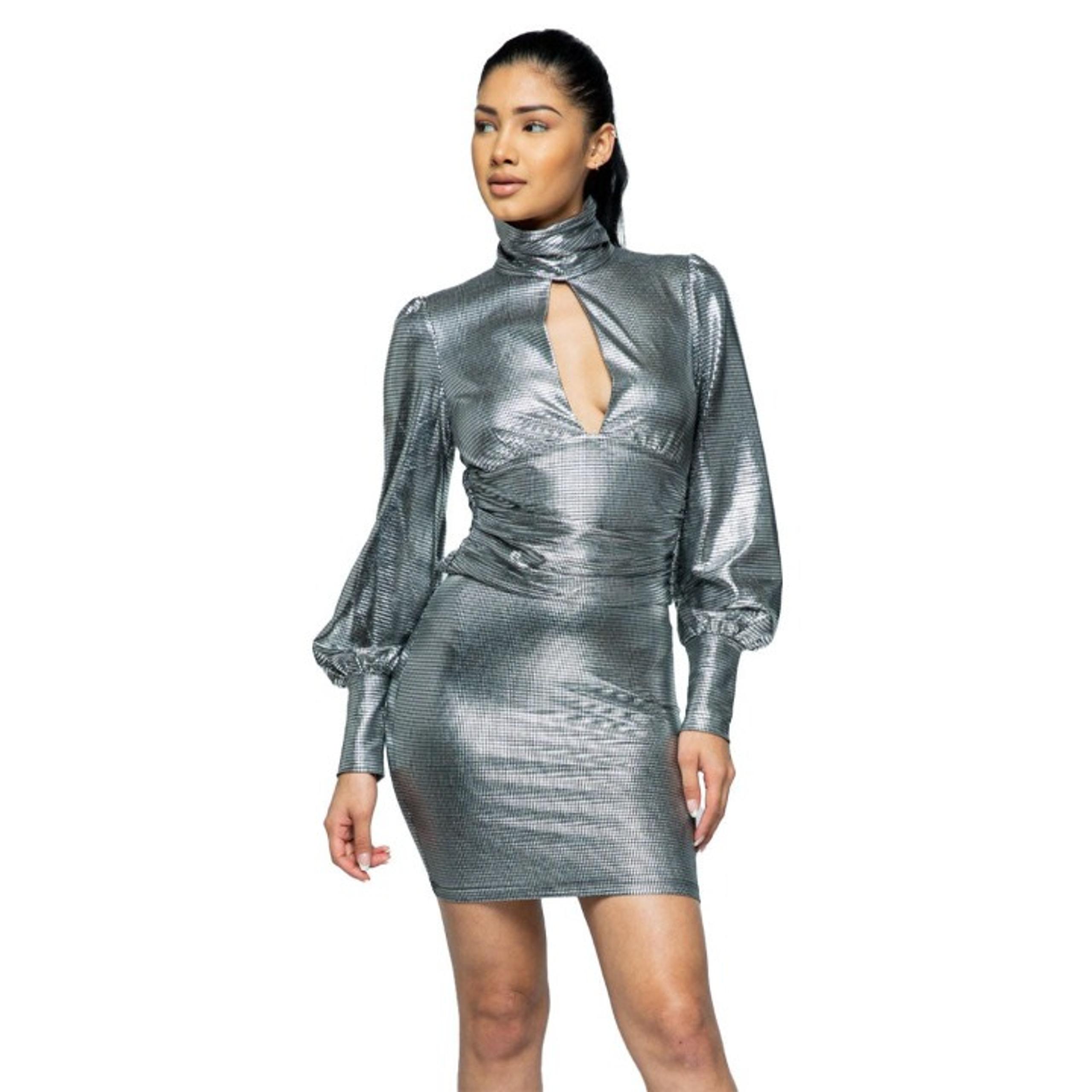 New Boutique Women Silver Long Sleeve Mini Dress