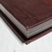 Brand New Vampire: The Requiem, World of Darkness