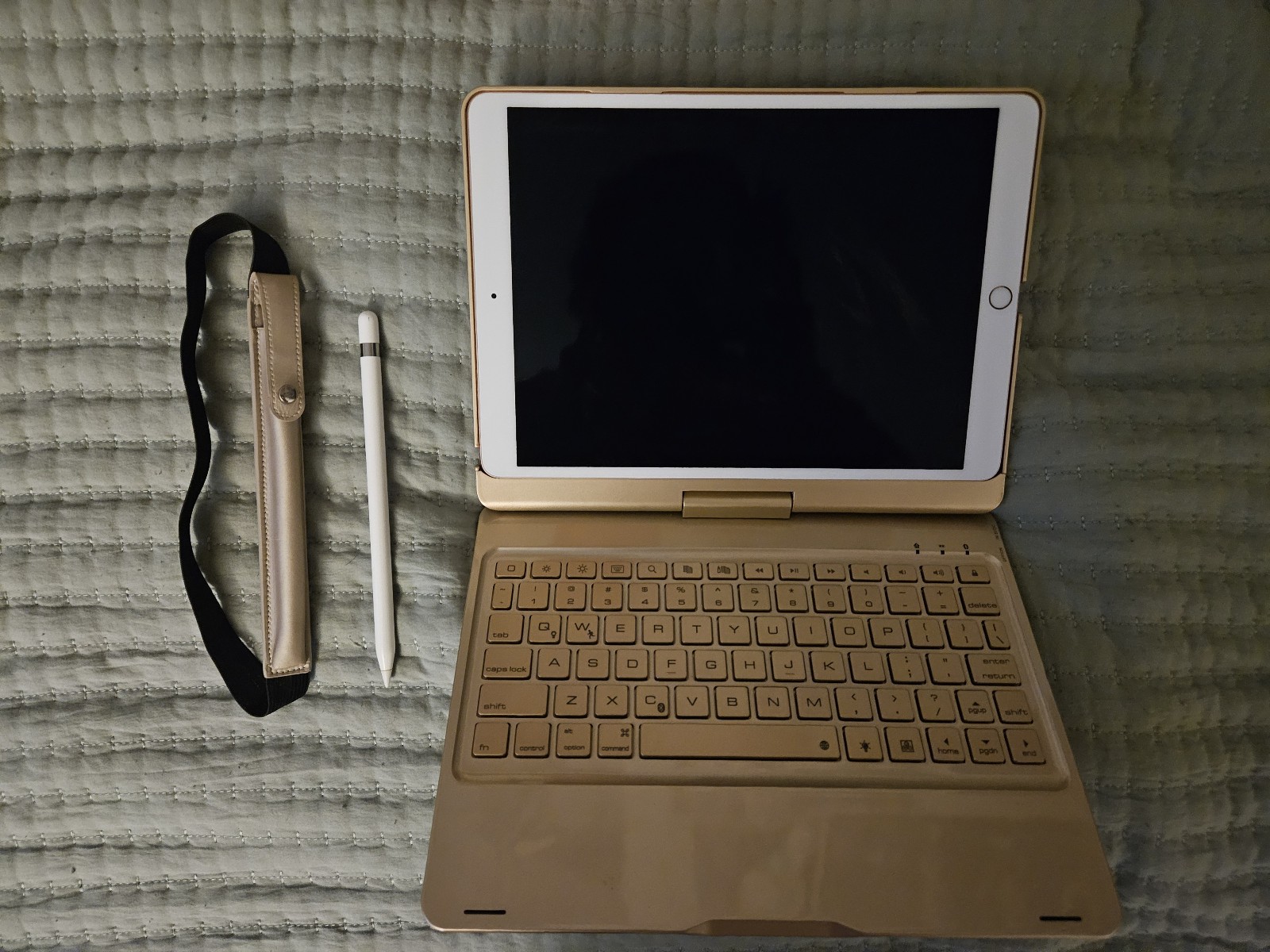 Apple IPad Pro 2017 256gb, First Gen pencil, accessories