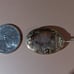 Victorian Morning brooch