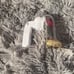 BBW Princess Belle Adjustable Wallflowers Scent Control Nightlight