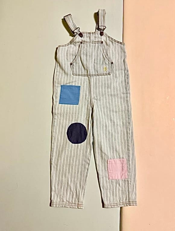 the animals observatory overall 6Y
