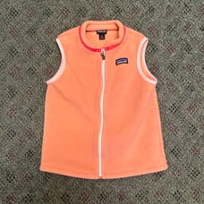 Patagonia synchilla vest
