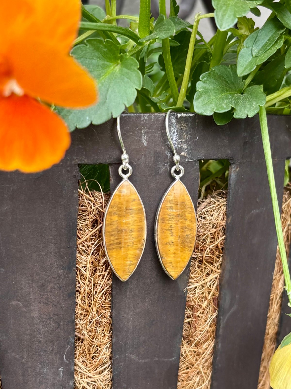 Tiger eye Earrings