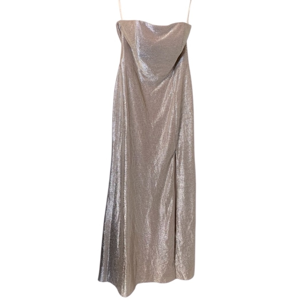 NWT HAYLEY PAIGE OCCASIONS 52301 Dress Rose/Silver Strapless Maxi Sz 12