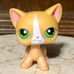 Littlest Pet Shop Authentic #72 Orange Cat w/ a Tiny Fish.