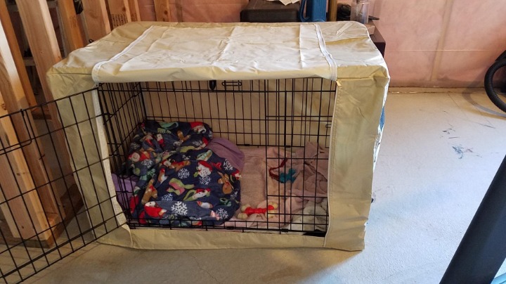 double door dog cage