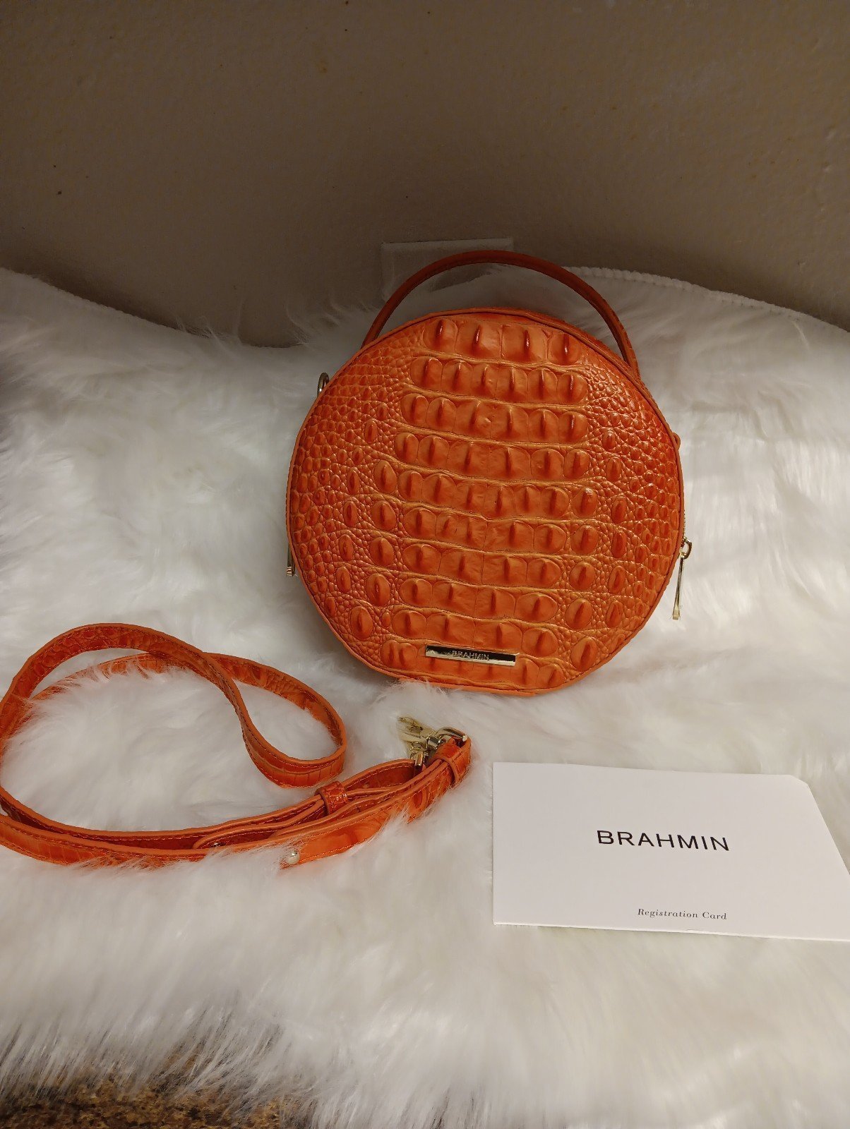 NWOT Brahmin