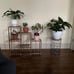 NEW 3-Tier Outdoor Wood Plant Stand for Multiple Plants, 7 Potted Plants.